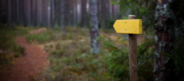 Following a Nudge from God