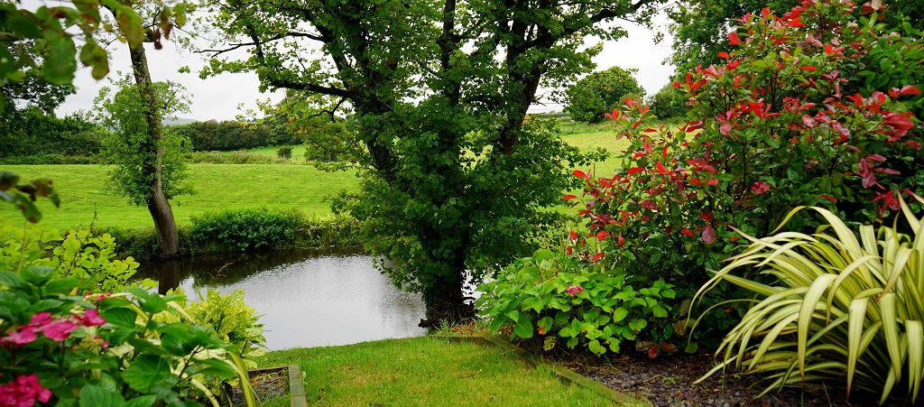 Like the Tree Planted by Streams of Water