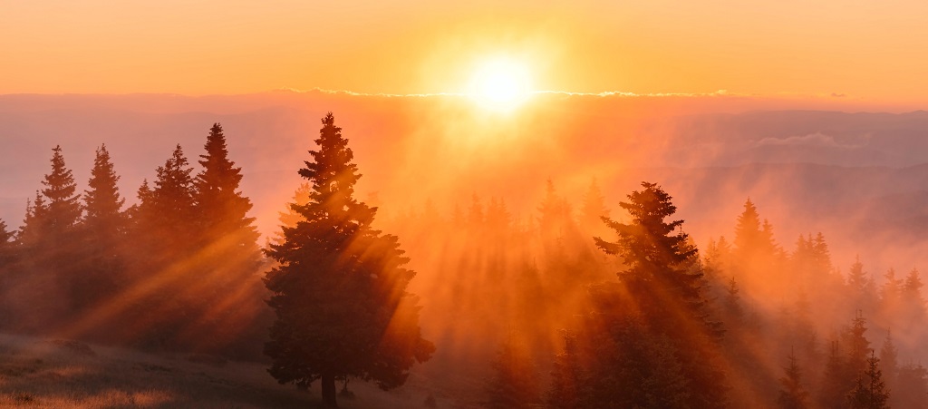 Jesus, the Creator of New