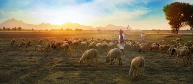 A Shepherd Looks at Psalm 23